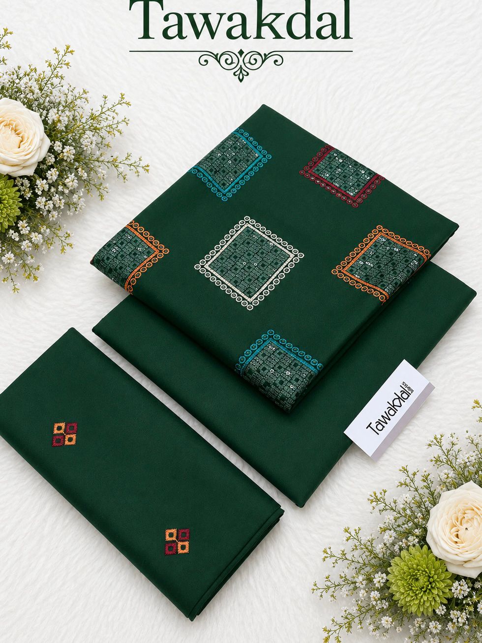 2PC Dhanak Embroidered Suit